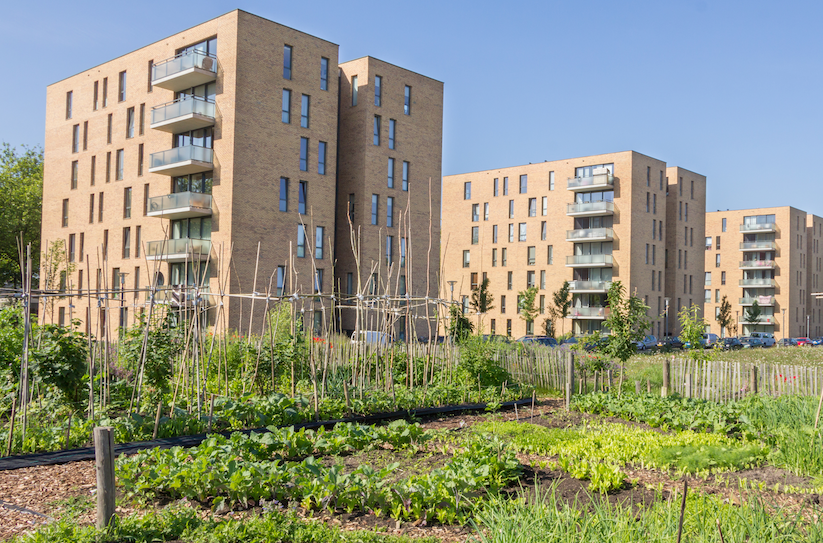 Rows of residential apartment complexes with urban gardens in foreground
