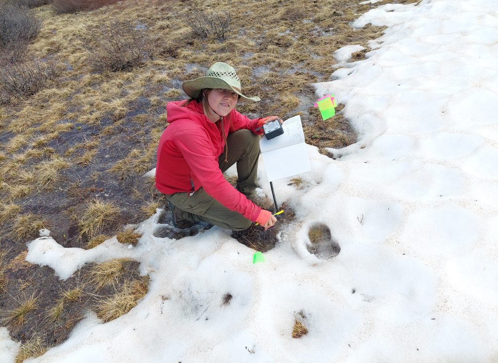 A woman in a red coat kneels near a patch of snow using a sensor.