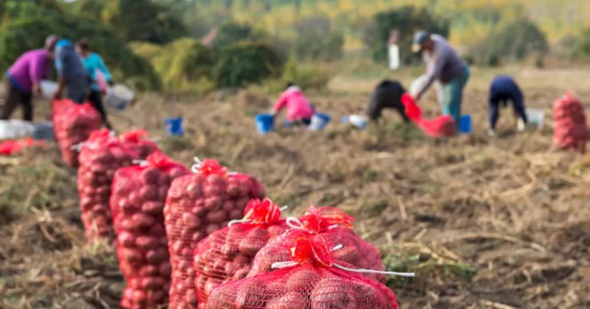 Reducing Food Loss and Waste: Dual Impact Actions to Address Climate ...